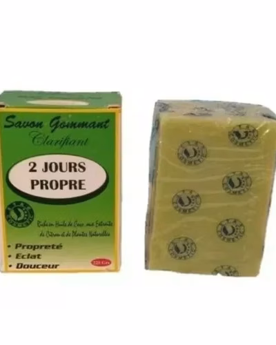 2 JOURS PROPRE SAVON CITRON "GREEN"